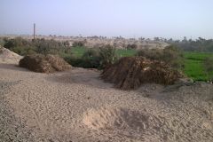 Landscape at the edge of the railway line between Al Faiyum and Al Wasta in Egypt.
