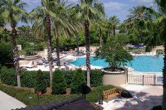 Palm-Framed Pool Courtyard, Gaylord Palms Resort, Orlando, Florida
