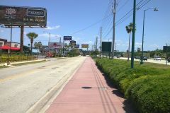Street near Gaylord Palms, Orlando, Florida, USA