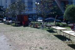 Outdoor Art Market in Urban Park Setting
