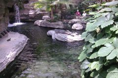 Crocodile Habitat at Gaylord Palms Resort Orlando