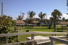 Florida Coastal Park with Palm Trees and Picnic Shelters