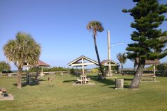 Florida Coastal Park with Palm Trees and Picnic Shelters