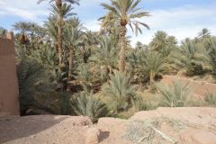 Desert Landscape on the road between Ouarzazate and Mhamid in Morocco