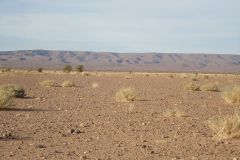 Desert Landscape on the road between Ouarzazate and Mhamid in Morocco
