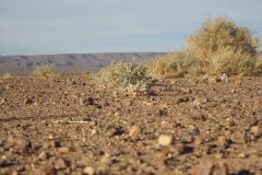 Desert Landscape on the road between Ouarzazate and Mhamid in Morocco