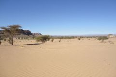 Sahara desert landscape between Zagora and Merzouga in Morocco