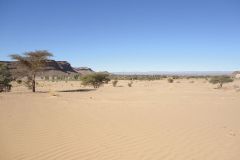 Sahara desert landscape between Zagora and Merzouga in Morocco