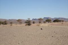 Sahara desert landscape between Zagora and Merzouga in Morocco