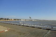 Coastal Road and Seafront Promenade in Essaouira with Atlantic Ocean, Seagulls, and Distant Cityscape