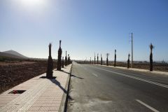 Palm-Lined Road into Sidi Ifni