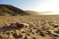 Legzira beach near Sidi Ifni, Morocco