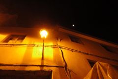 Cat in Taroudannt, Morocco