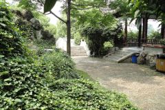Inside a park in Nanjing, China
