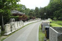 Inside a park in Nanjing, China