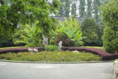 Inside a park in Nanjing, China