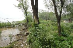 A walk along the Yangtze River in Nanjing, China
