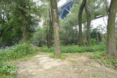 A walk along the Yangtze River in Nanjing, China