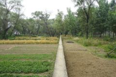 A walk along the Yangtze River in Nanjing, China