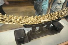 Exponats in a museum in Suzhou, China