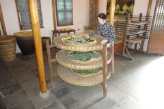 Living silk worms in Suzhou Silk Museum China