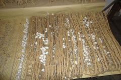Silk in Suzhou Silk Museum China
