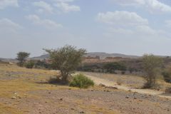 Sahara desert landscape between Zagora and Merzouga, Morocco