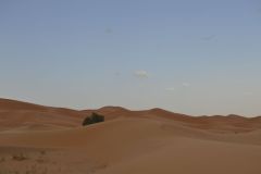 The sand dunes of Merzouga, Morocco