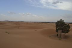 A qanat in the sand dunes of Merzouga, Morocco