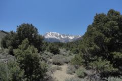 Landscape in Yosemite National Park, California, USA