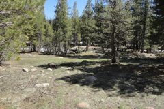 Landscape in Yosemite National Park, California, USA
