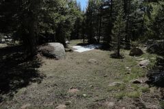 Landscape in Yosemite National Park, California, USA