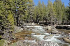 Landscape in Yosemite National Park, California, USA