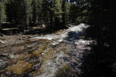 Landscape in Yosemite National Park, California, USA