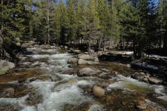 Landscape in Yosemite National Park, California, USA