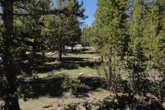Landscape in Yosemite National Park, California, USA