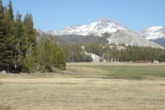 Landscape in Yosemite National Park, California, USA