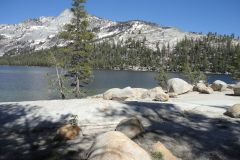 Landscape in Yosemite National Park, California, USA