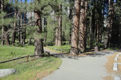 Landscape in Yosemite National Park, California, USA
