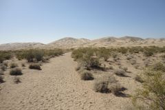 Landscape in the Mojave Desert, California, USA