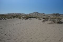 Landscape in the Mojave Desert, California, USA