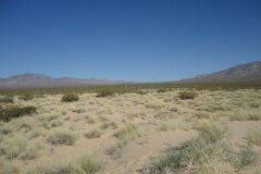 Landscape in the Mojave Desert, California, USA