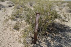Landscape in the Mojave Desert, California, USA