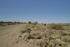 Landscape in the Mojave Desert, California, USA