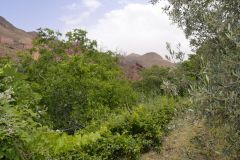 Landscape around Dades Gorge near Boumalne, Morocco