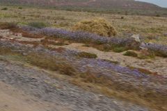 Landscape south of Sidi Ifni, Morocco in direction of Foum Assaka
