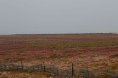 Landscape south of Sidi Ifni, Morocco in direction of Foum Assaka