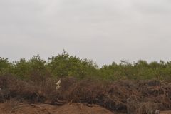 Landscape between Tafraoute and Ouarzazte, Morocco