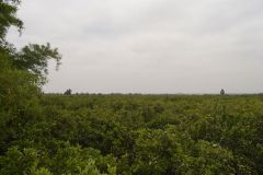 Landscape between Tafraoute and Ouarzazte, Morocco