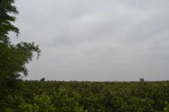 Landscape between Tafraoute and Ouarzazte, Morocco